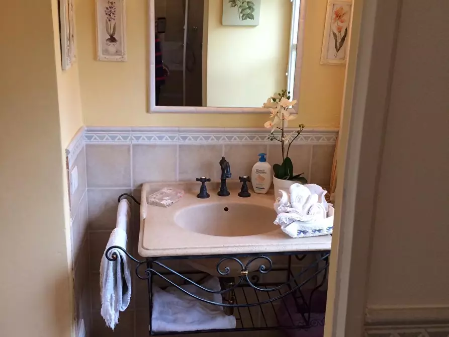 Immagine 10 di Villa in affitto  a Pietrasanta