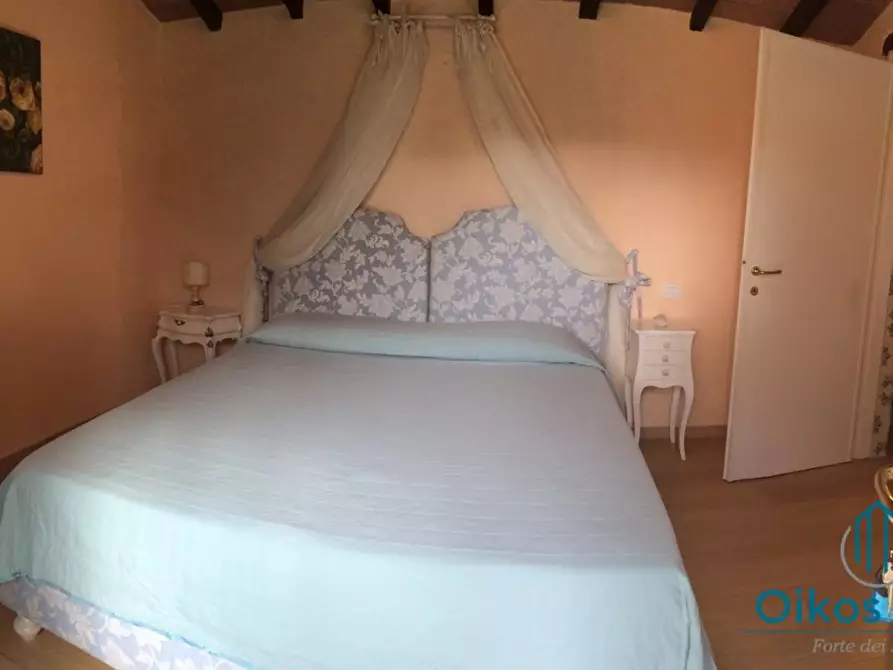 Immagine 12 di Villa in affitto  a Pietrasanta