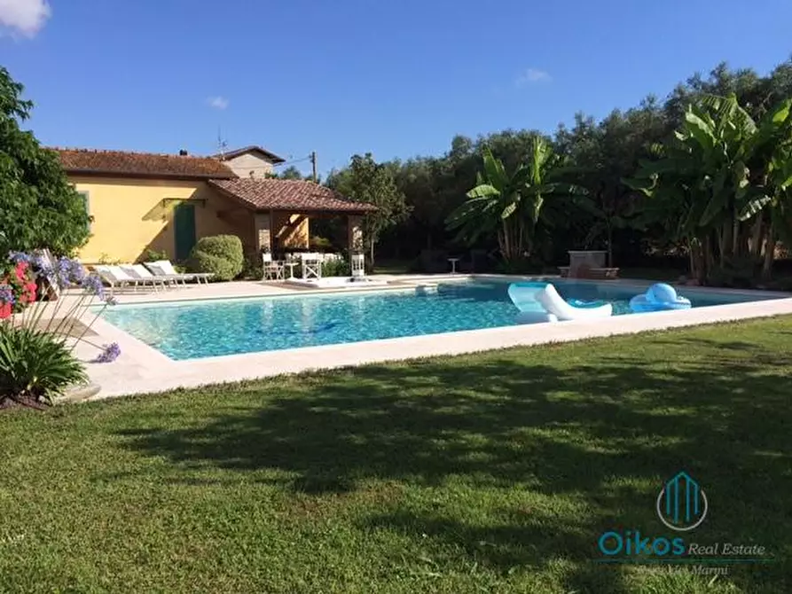 Immagine 1 di Villa in affitto  a Pietrasanta