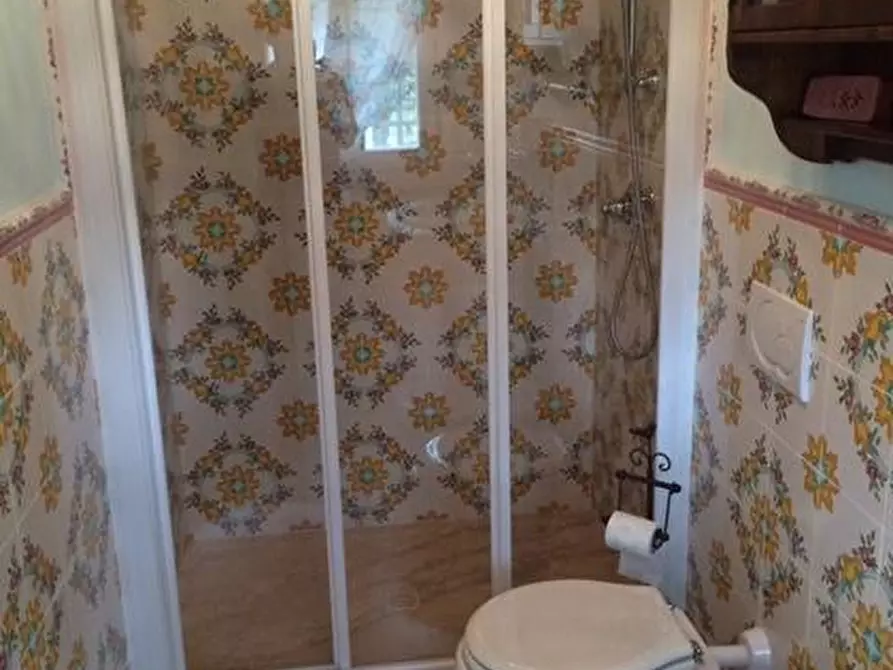 Immagine 5 di Villa in affitto  a Pietrasanta