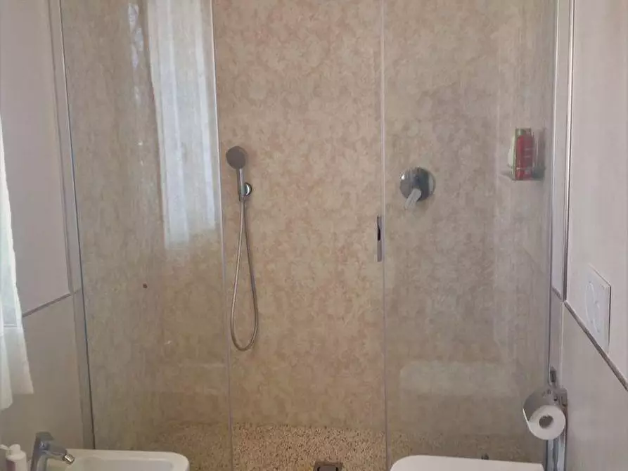 Immagine 15 di Villa in affitto  a Forte Dei Marmi