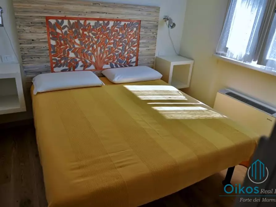 Immagine 5 di Appartamento in affitto  a Forte Dei Marmi