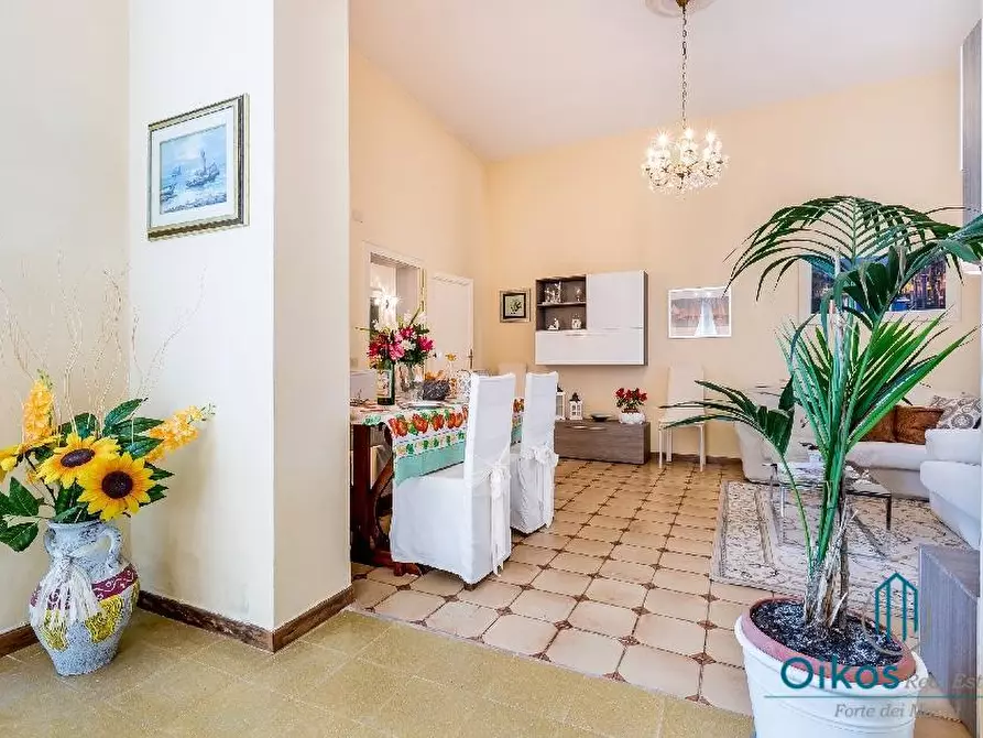 Immagine 5 di Appartamento in affitto  a Forte Dei Marmi