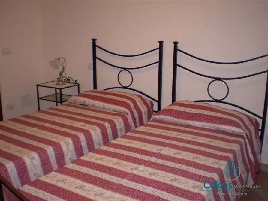 Immagine 6 di Villa in affitto  a Forte Dei Marmi