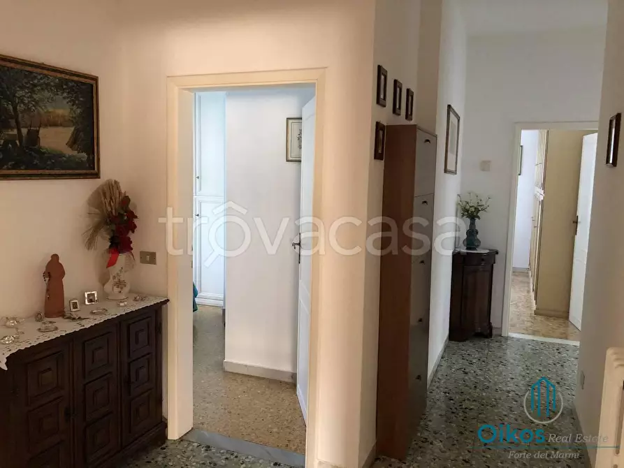 Immagine 12 di Villa in affitto  a Forte Dei Marmi