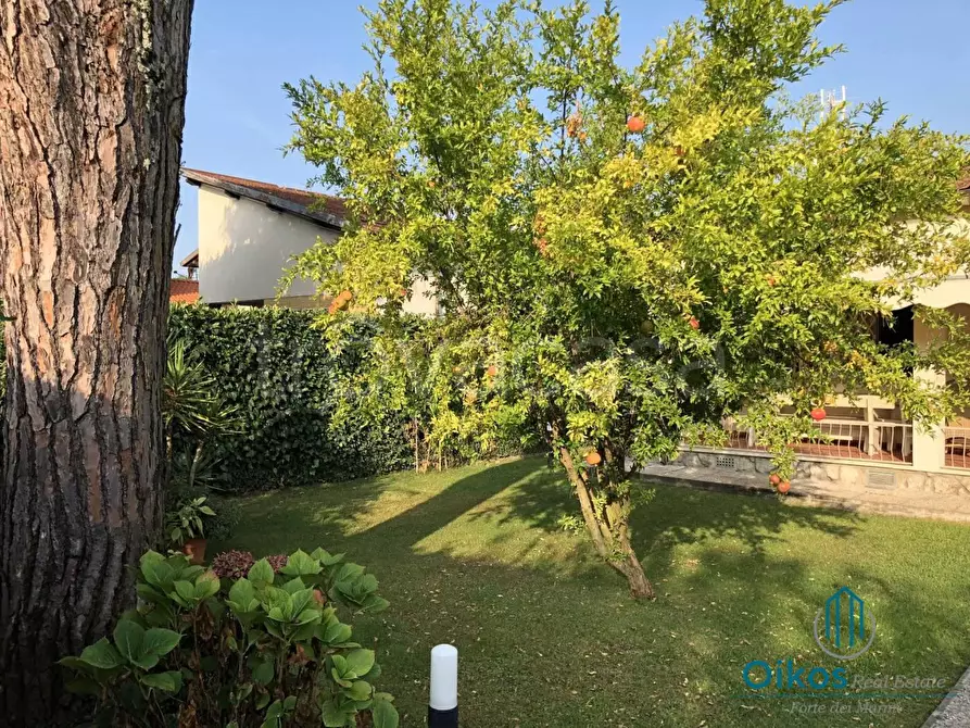 Immagine 18 di Villa in affitto  a Forte Dei Marmi