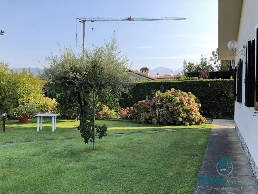 Immagine 4 di Villa in affitto  a Forte Dei Marmi