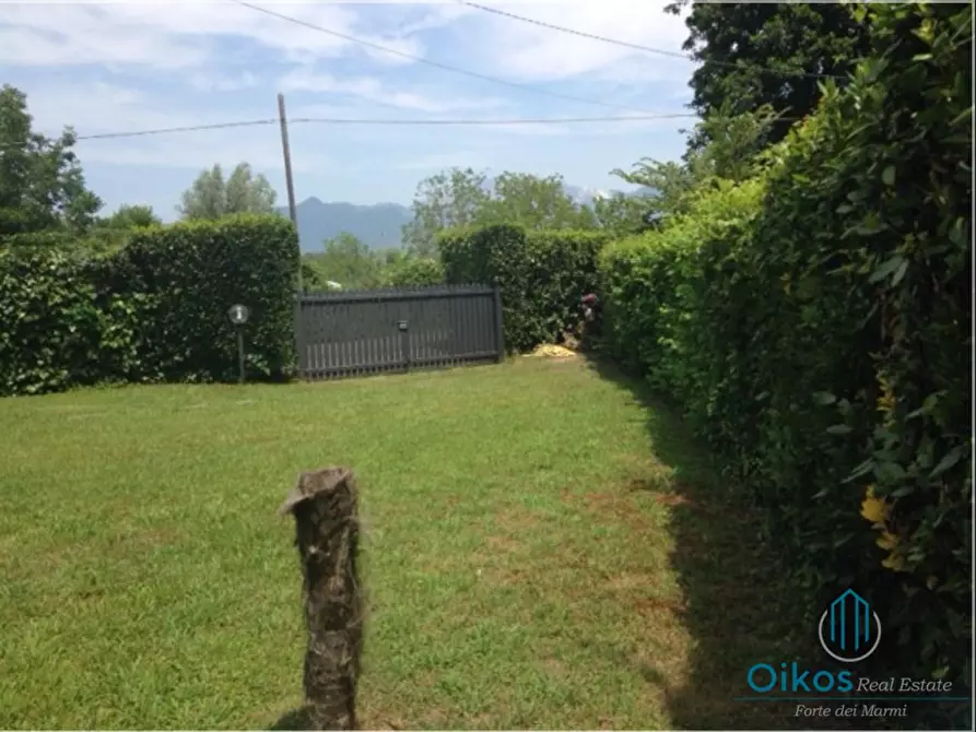 Immagine 5 di Villa in vendita  a Pietrasanta