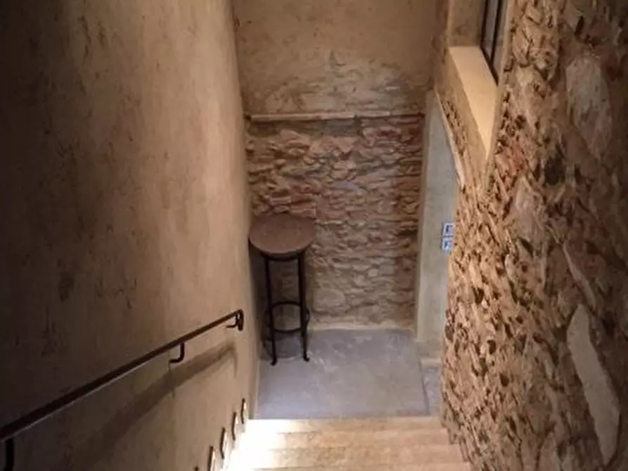 Immagine 17 di Villa in affitto  a Forte Dei Marmi