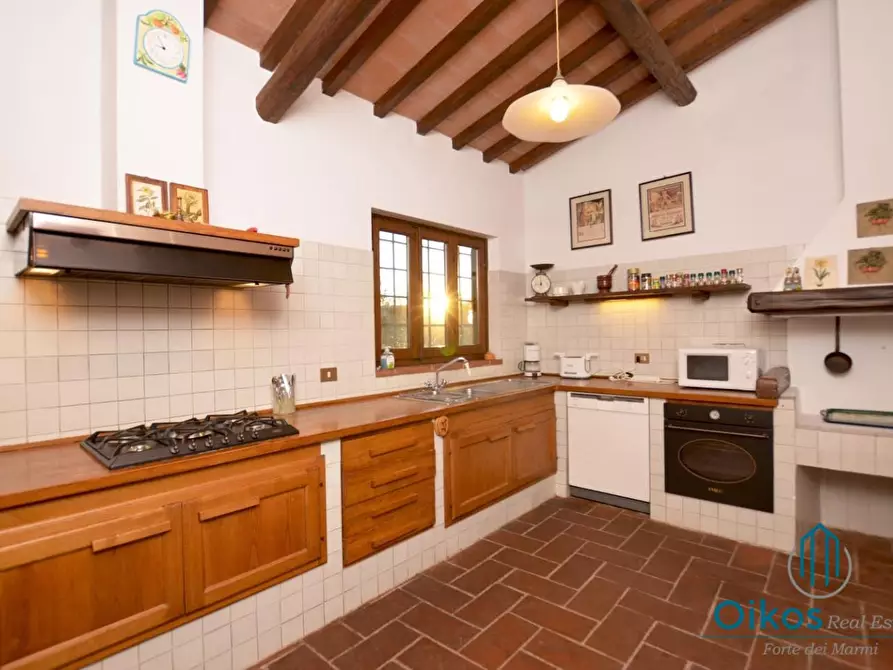 Immagine 6 di Villa in affitto  a Camaiore