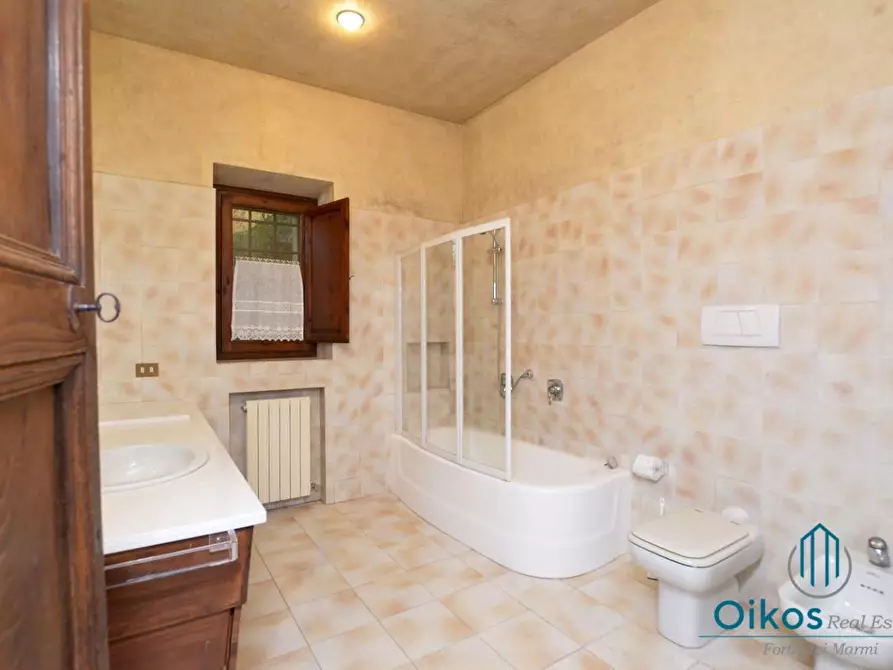 Immagine 11 di Villa in affitto  a Camaiore