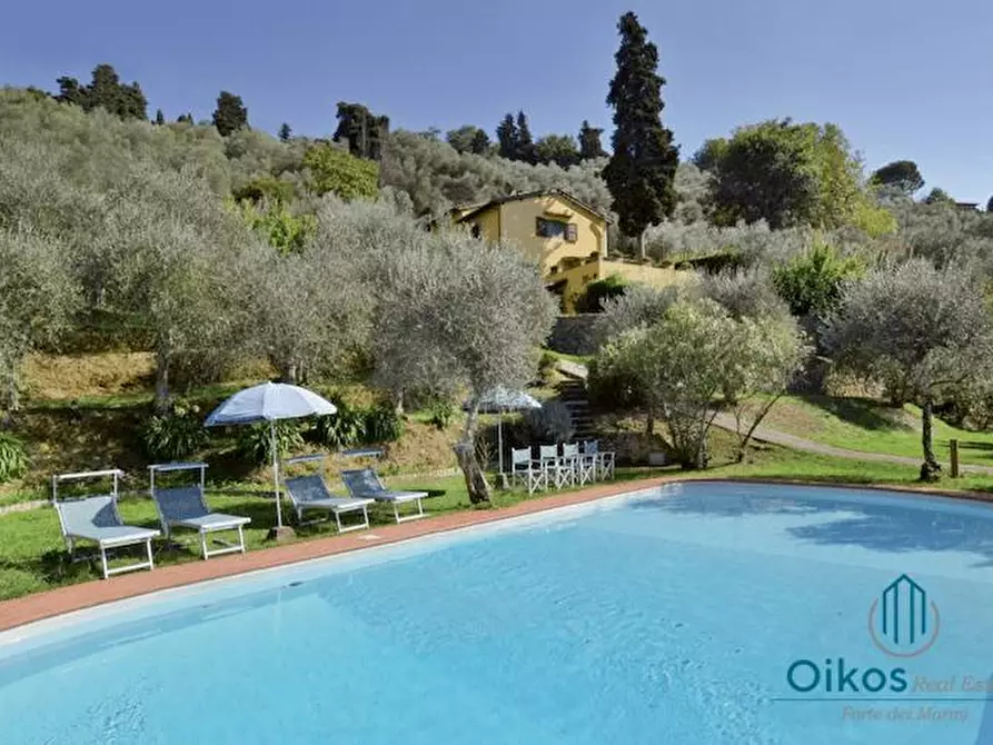 Immagine 1 di Villa in affitto  a Camaiore