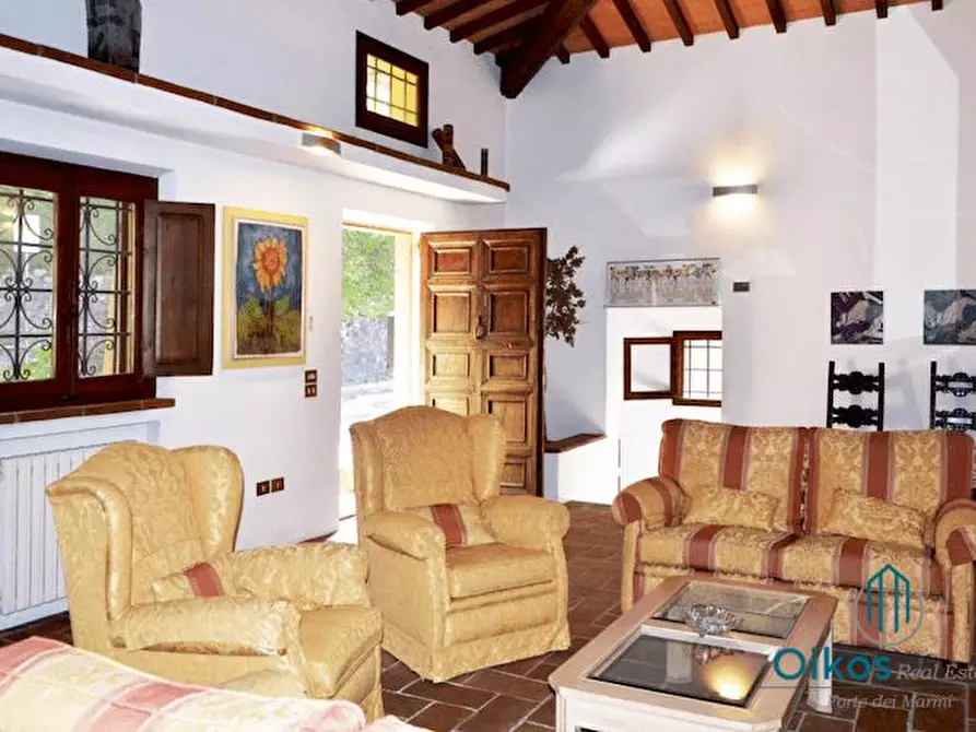 Immagine 27 di Villa in affitto  a Camaiore