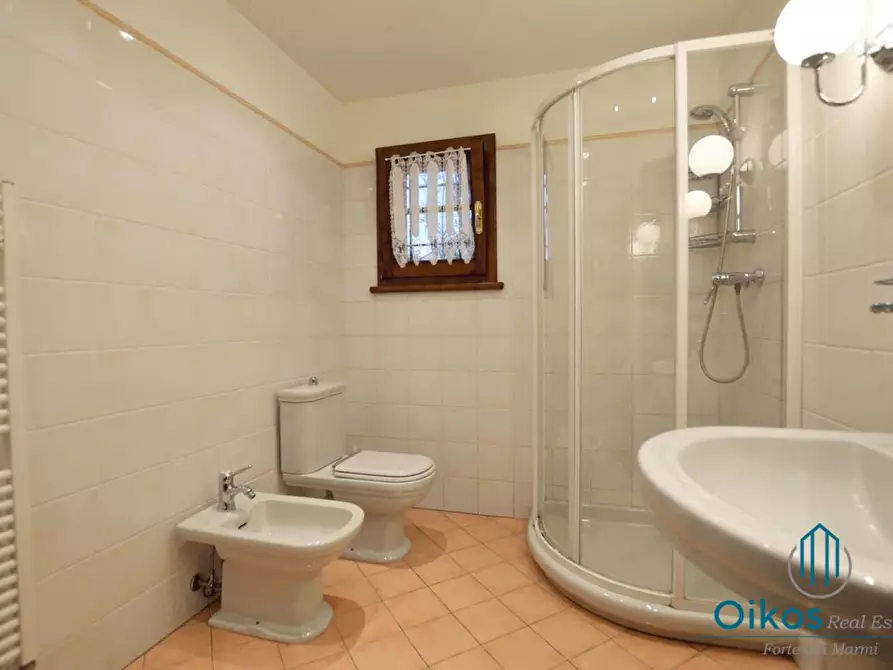 Immagine 13 di Villa in affitto  a Camaiore