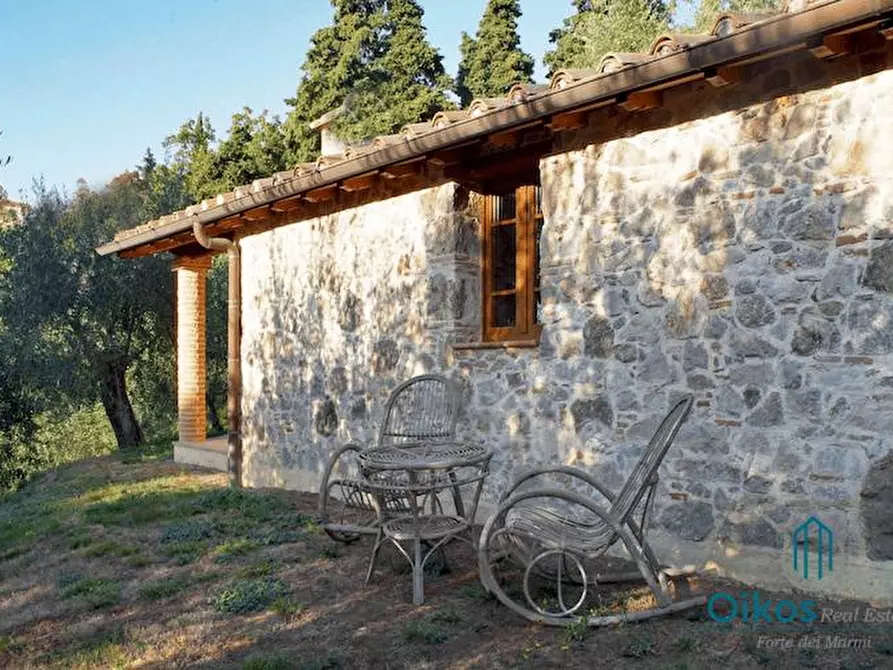 Immagine 26 di Villa in affitto  a Camaiore