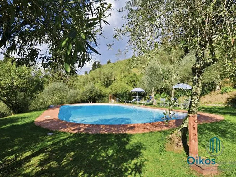 Immagine 21 di Villa in affitto  a Camaiore