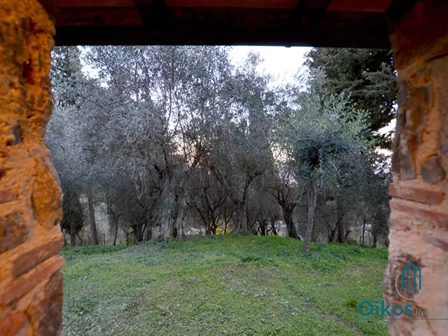 Immagine 16 di Villa in affitto  a Camaiore