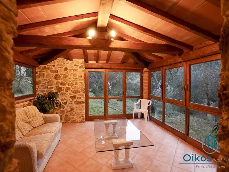 Immagine 17 di Villa in affitto  a Camaiore