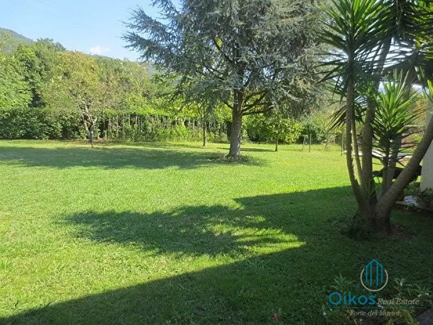 Immagine 4 di Villa in vendita  a Pietrasanta