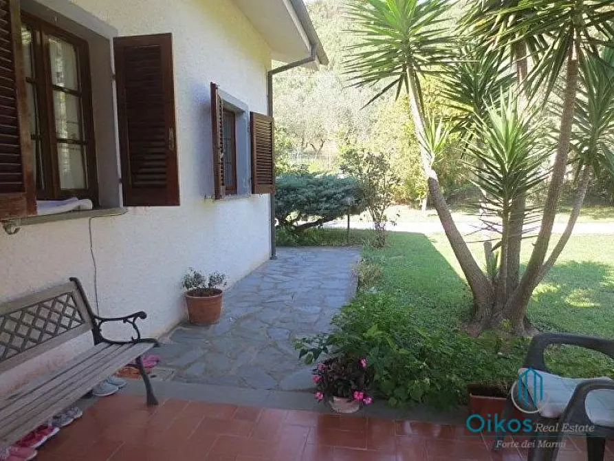 Immagine 3 di Villa in vendita  a Pietrasanta