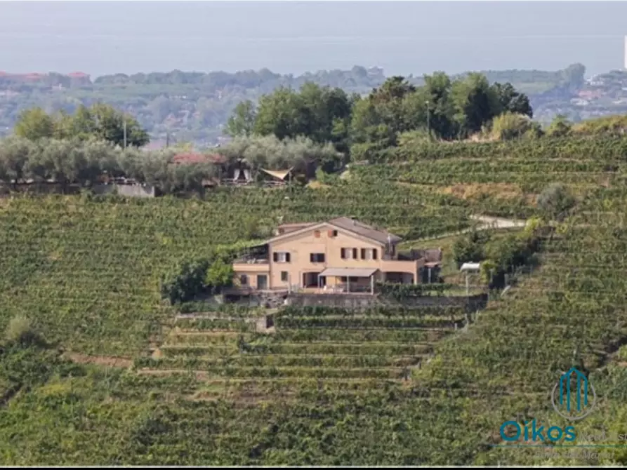 Immagine 3 di Albergo/B&B/Residence in vendita  a Massa