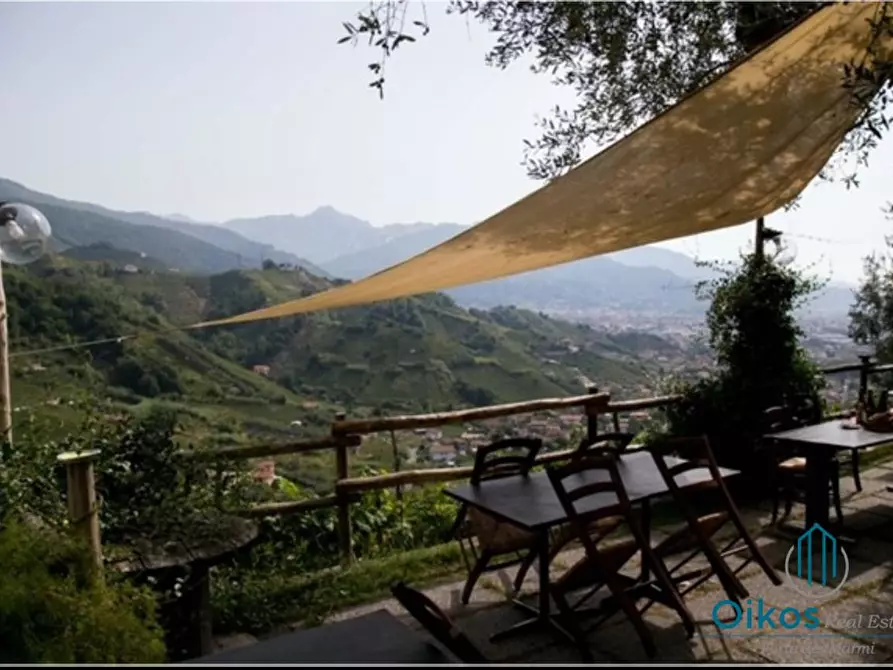 Immagine 4 di Albergo/B&B/Residence in vendita  a Massa