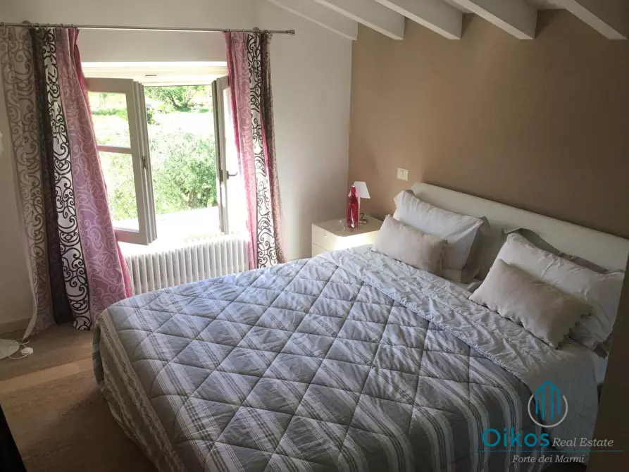 Immagine 20 di Villa in affitto  a Pietrasanta