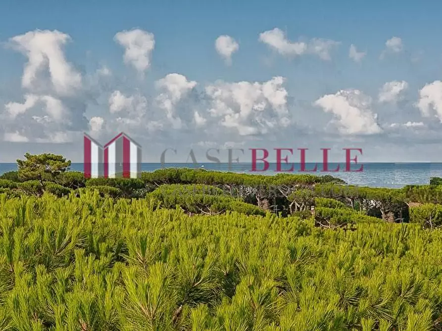 Immagine 1 di Albergo/B&B/Residence in vendita  a Pietrasanta