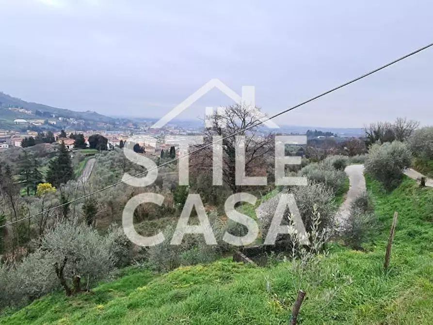 Immagine 4 di Casa colonica in vendita  a Pescia