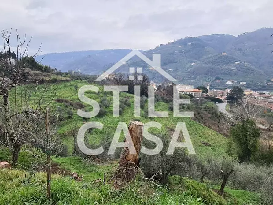 Immagine 2 di Casa colonica in vendita  a Pescia