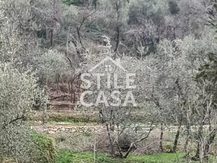 Immagine 5 di Casa colonica in vendita  a Pescia