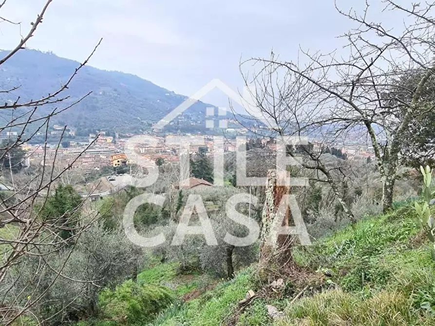 Immagine 3 di Casa colonica in vendita  a Pescia