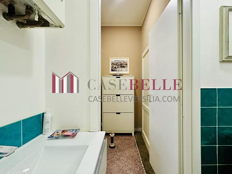 Immagine 14 di Villa in affitto  a Forte Dei Marmi