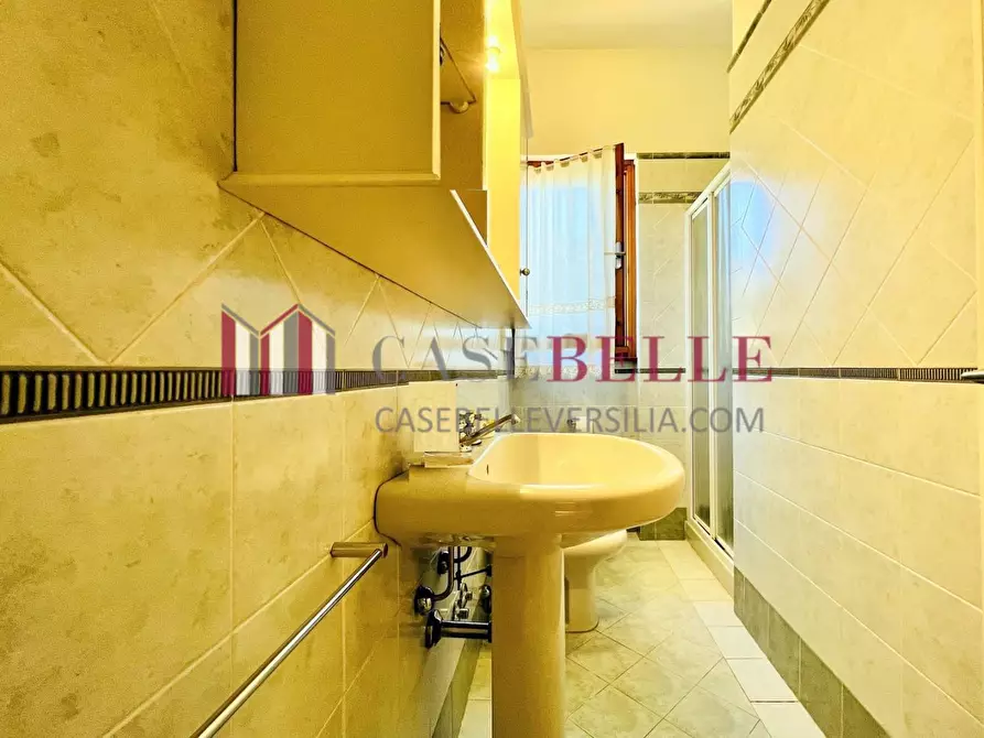 Immagine 15 di Villa in affitto  a Forte Dei Marmi