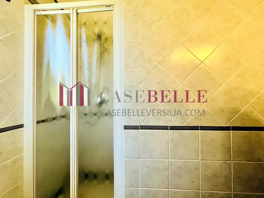 Immagine 16 di Villa in affitto  a Forte Dei Marmi