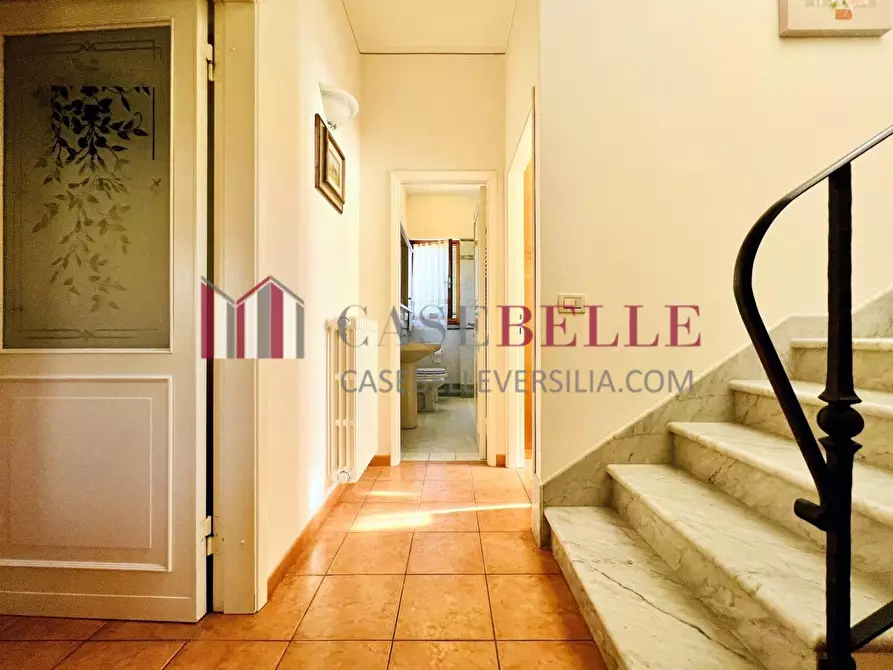 Immagine 13 di Villa in affitto  a Forte Dei Marmi