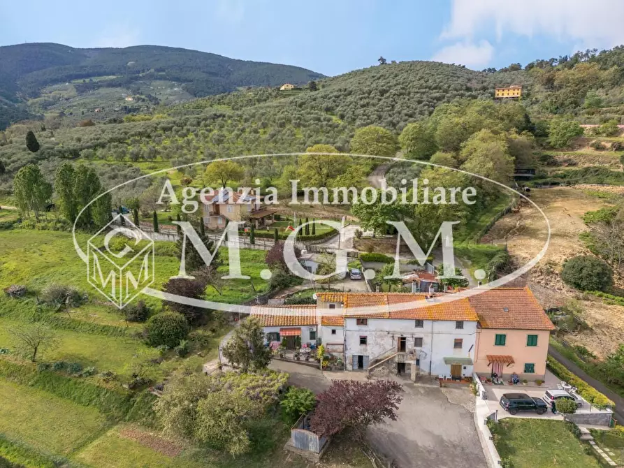 Immagine 3 di Appartamento in vendita  a Buti