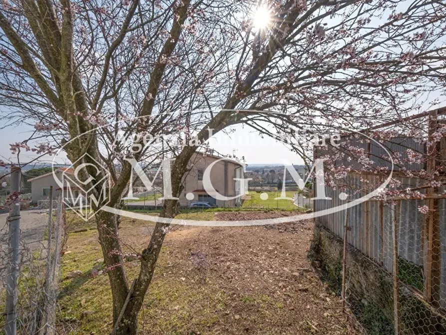 Immagine 9 di Appartamento in vendita  a Buti