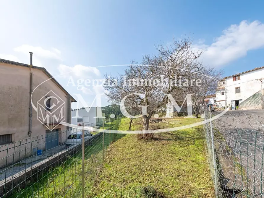 Immagine 8 di Appartamento in vendita  a Buti