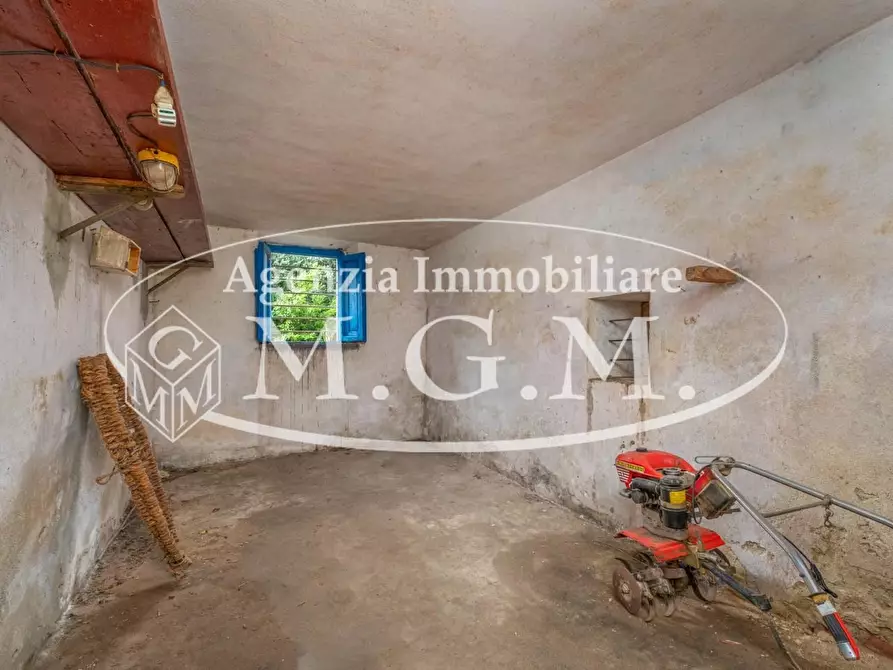 Immagine 29 di Appartamento in vendita  a Buti