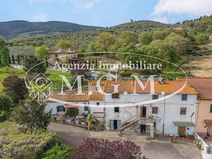 Immagine 6 di Appartamento in vendita  a Buti