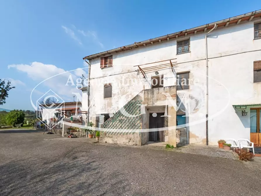 Immagine 11 di Appartamento in vendita  a Buti