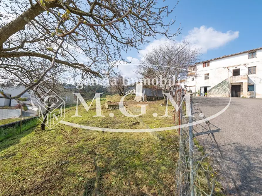 Immagine 7 di Appartamento in vendita  a Buti