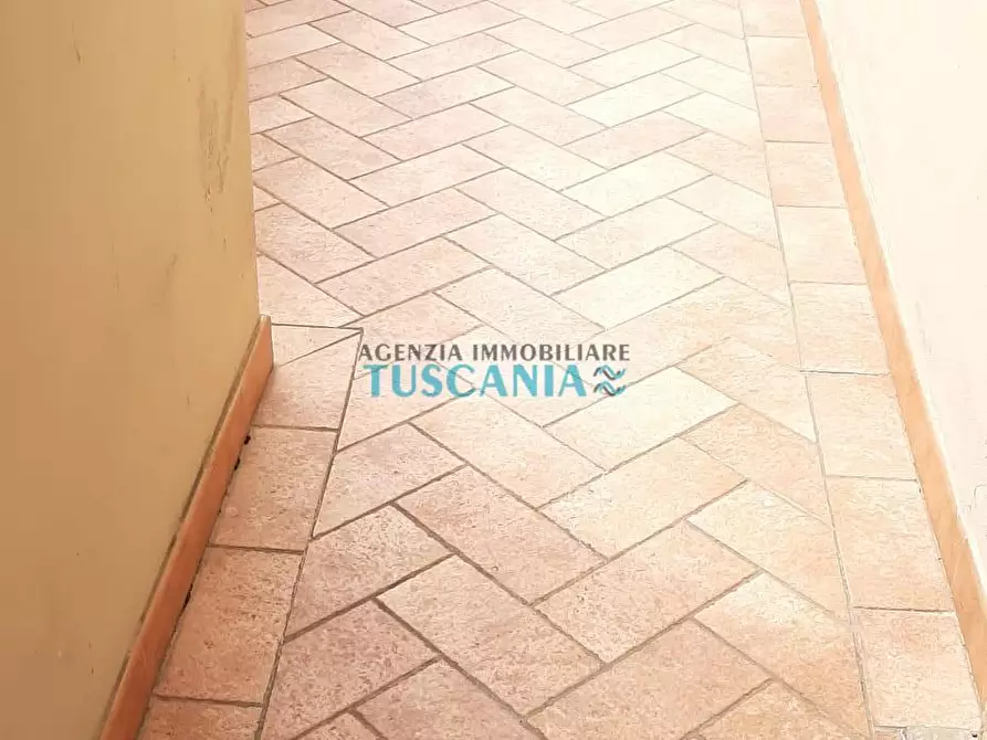Immagine 6 di Appartamento in vendita  a Casale Marittimo