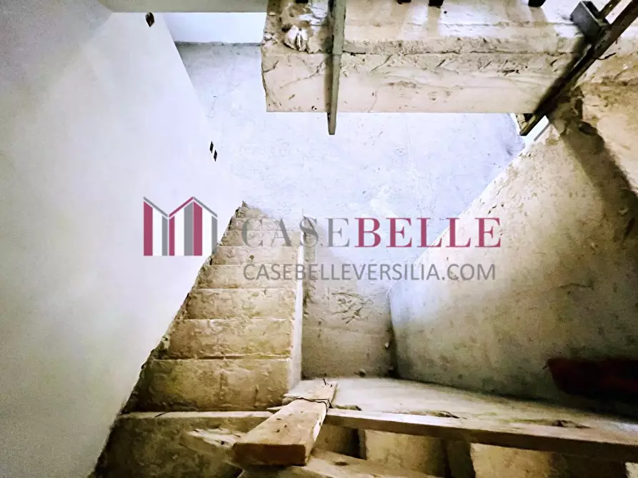 Immagine 12 di Casa quadrifamiliare in vendita  a Camaiore