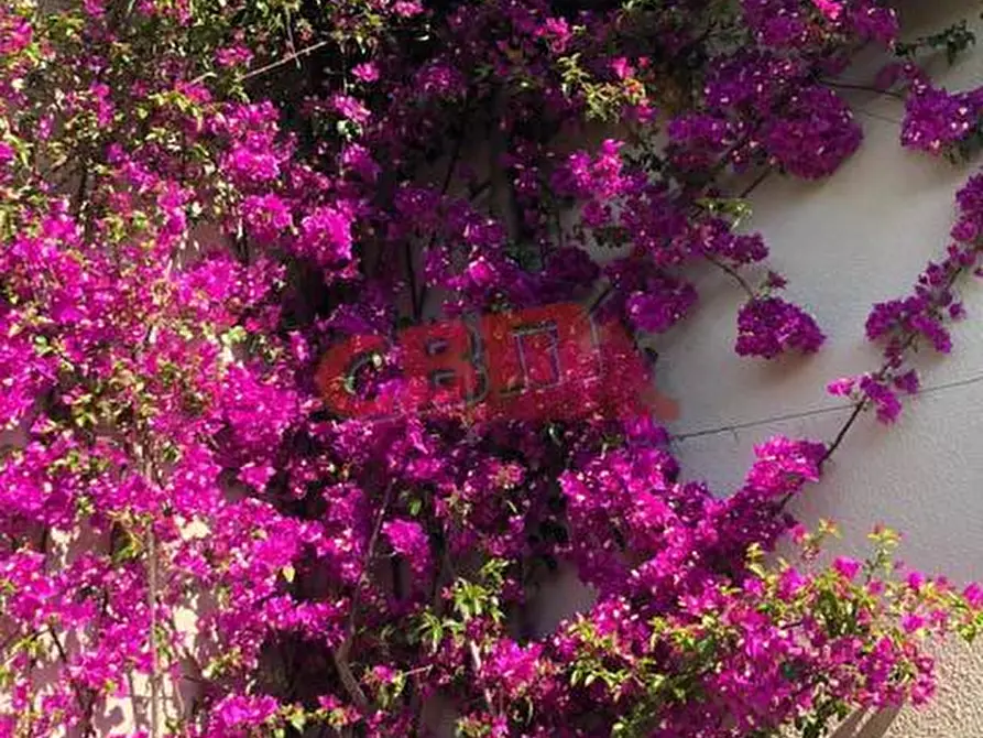 Immagine 47 di Casa bifamiliare in vendita  a Pisa