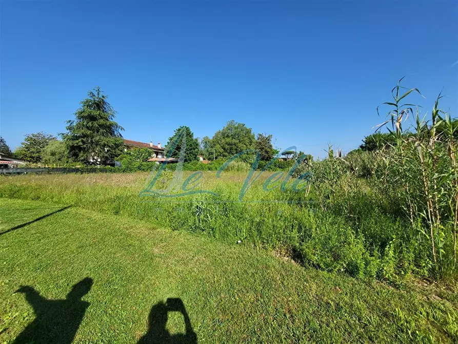 Immagine 2 di Terreno agricolo in vendita  a Massa