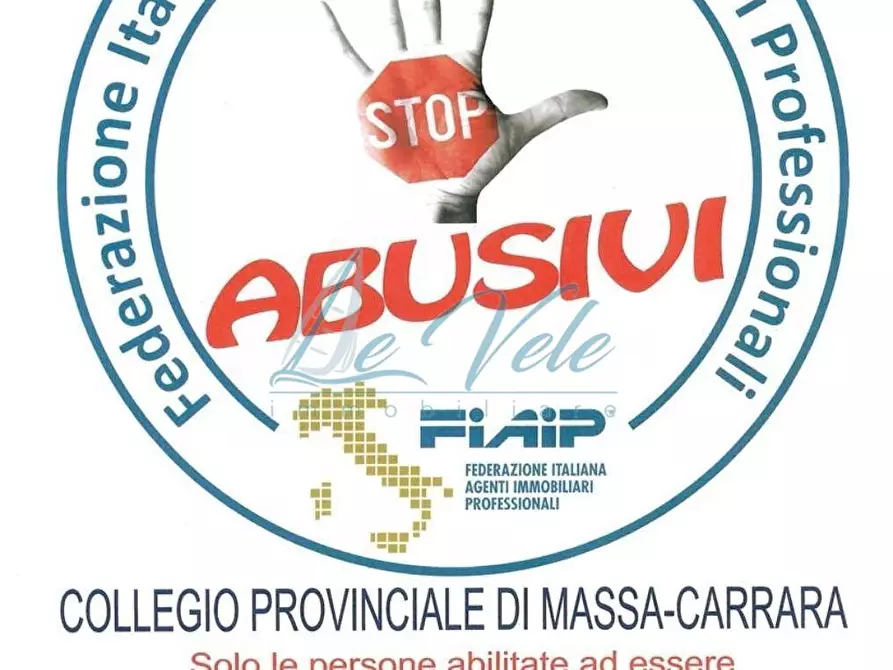 Immagine 9 di Terreno agricolo in vendita  a Massa