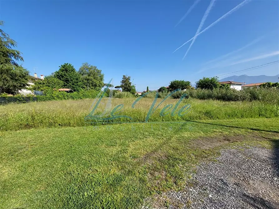 Immagine 1 di Terreno agricolo in vendita  a Massa