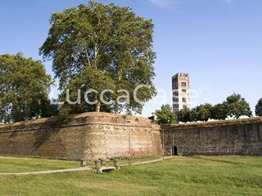 Immagine 8 di Ufficio in affitto  a Lucca